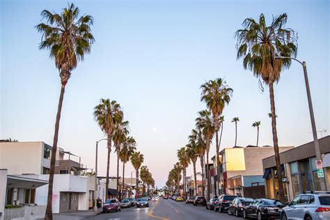 abbot kinney blvd venice ca.